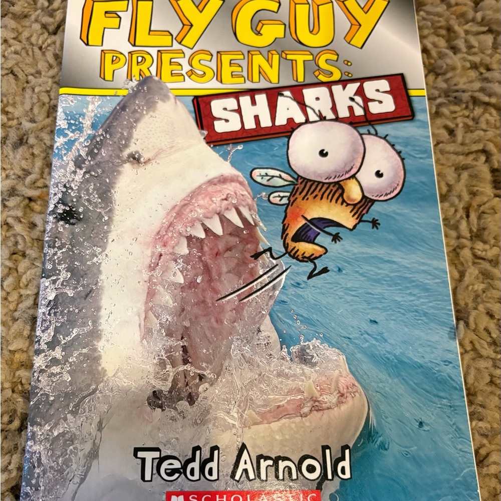 Fly Guy Book Collection - Picture 5 of 5